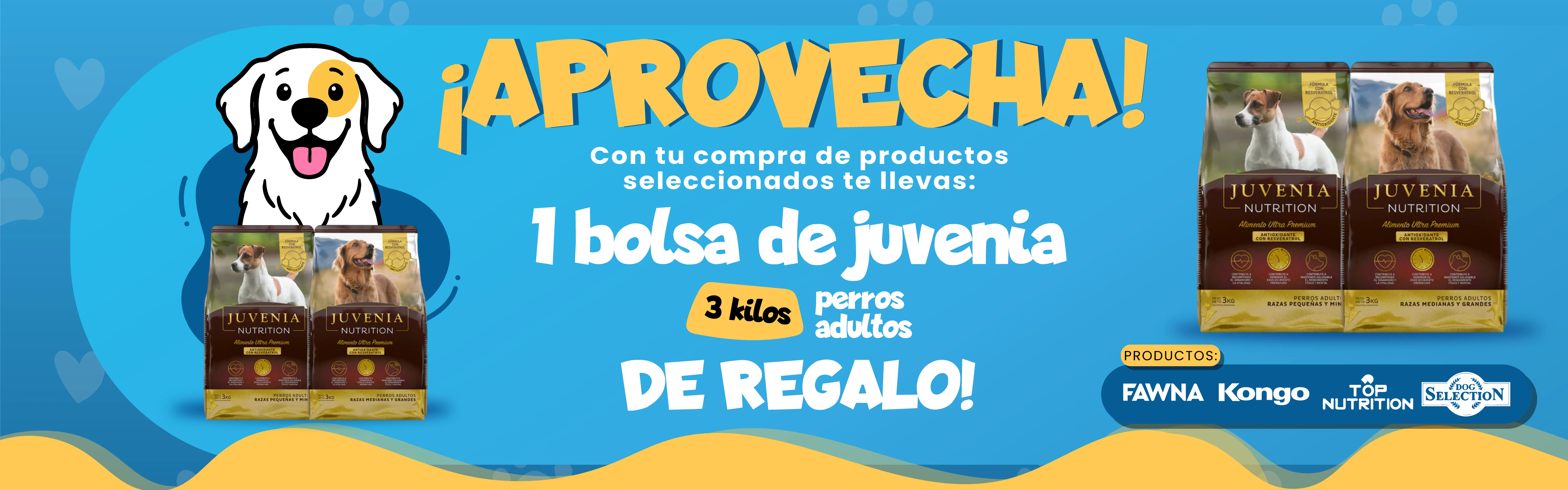Juvenia