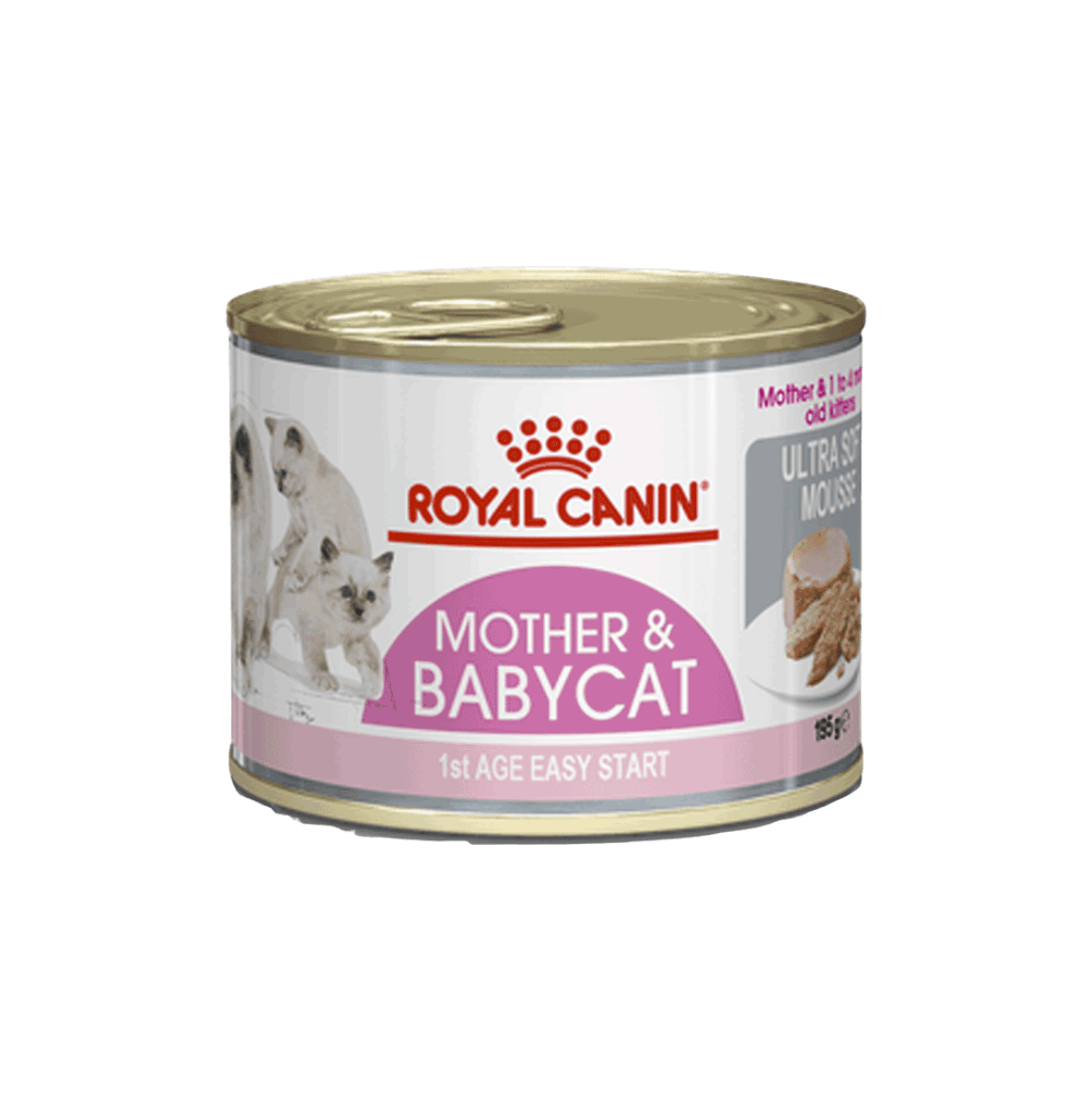 ROYAL CANIN MOTHER & BABYCAT LATA 6X195GR