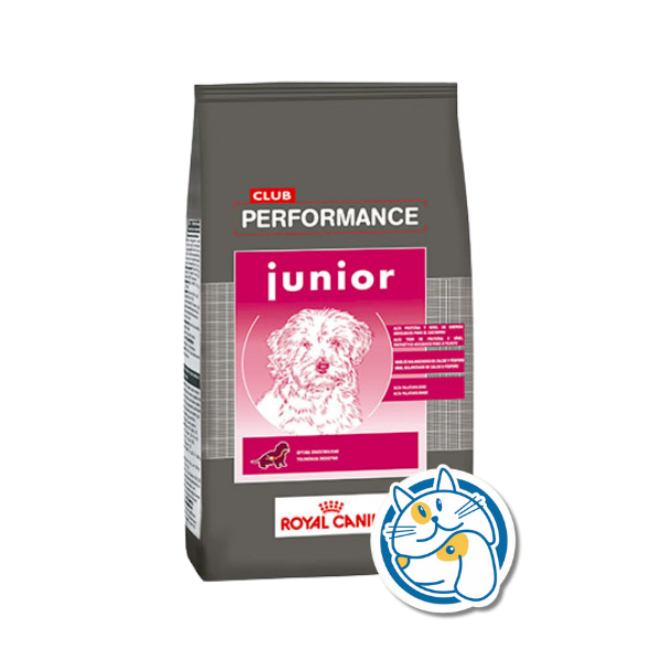 CLUB PERFORMANCE DOG JUNIOR 15KG