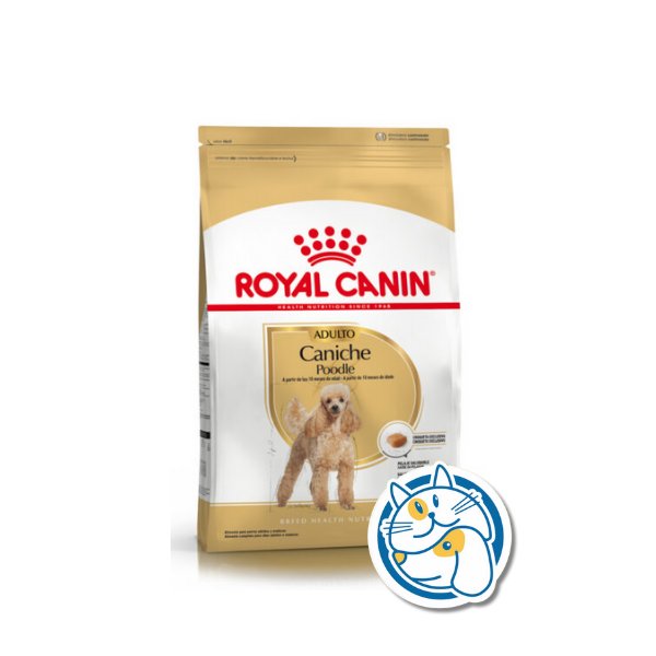 ROYAL CANIN CANICHE ADULT 3KG