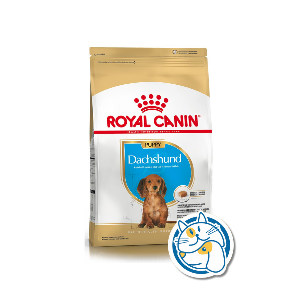 ROYAL CANIN DACHSHUND PUPPY 3KG