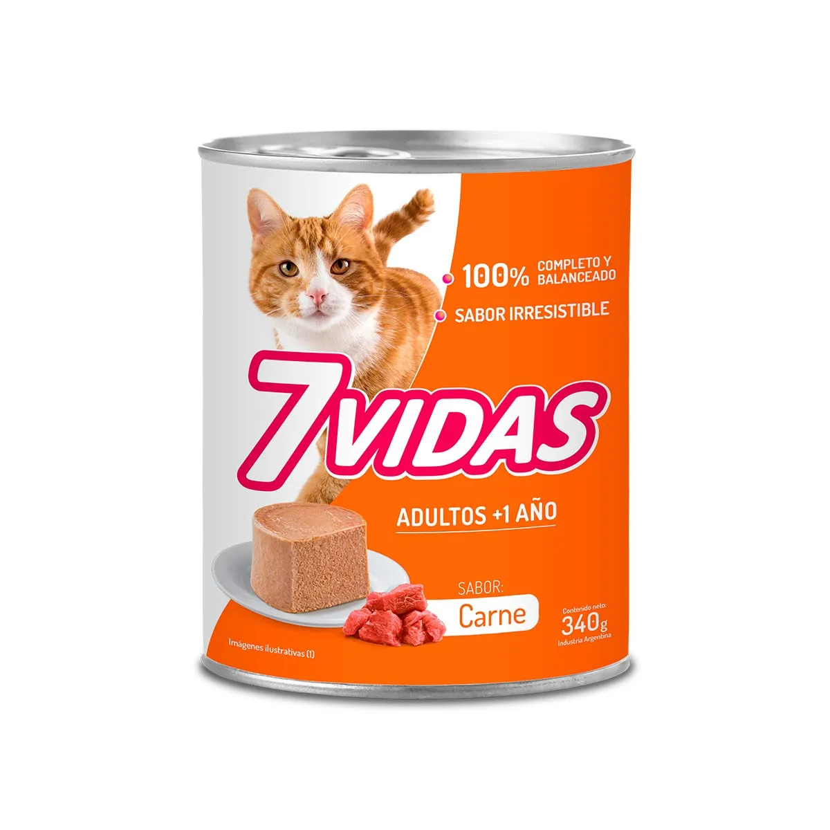 7VIDAS CARNE LATA 90GR