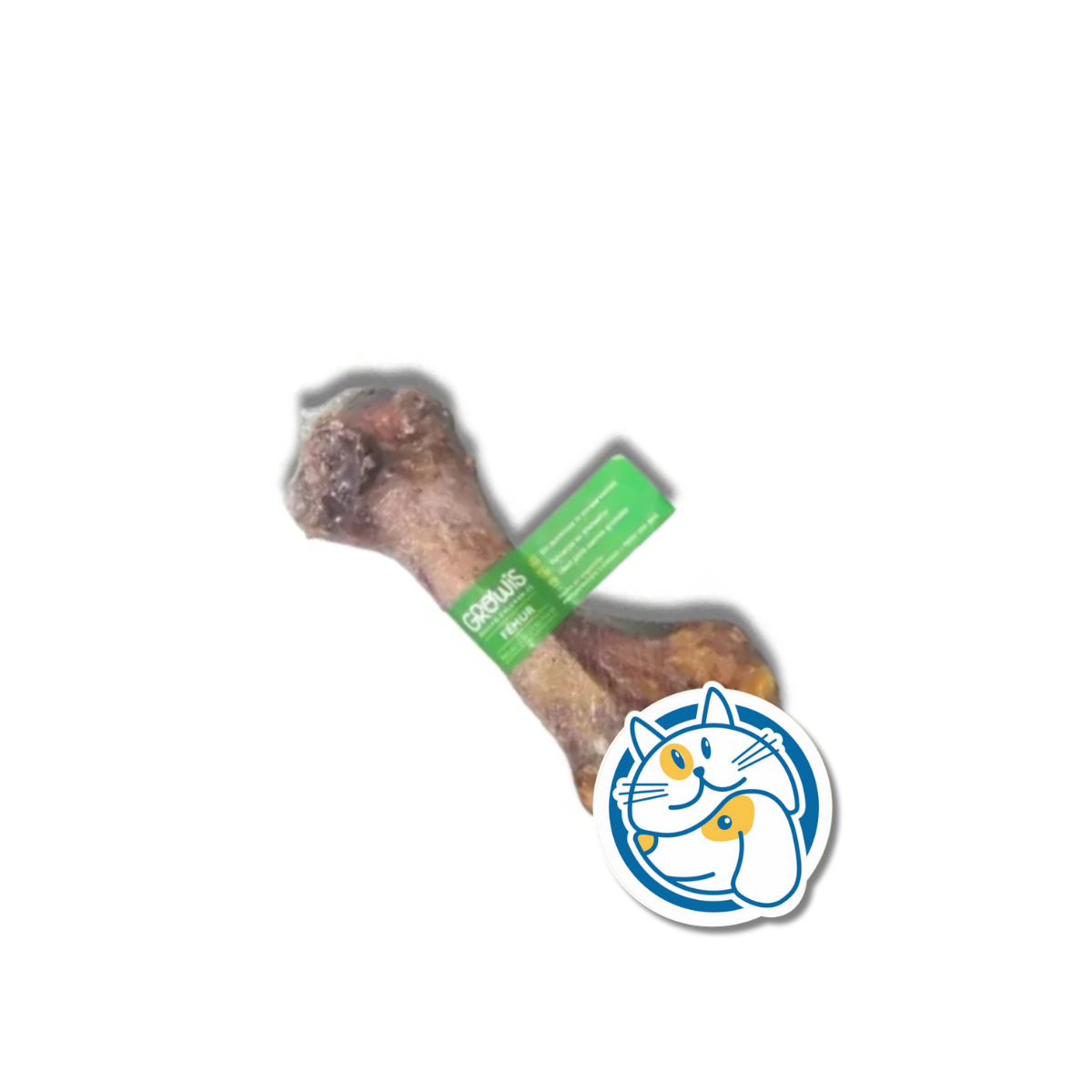 HUESO DE FEMUR 10044