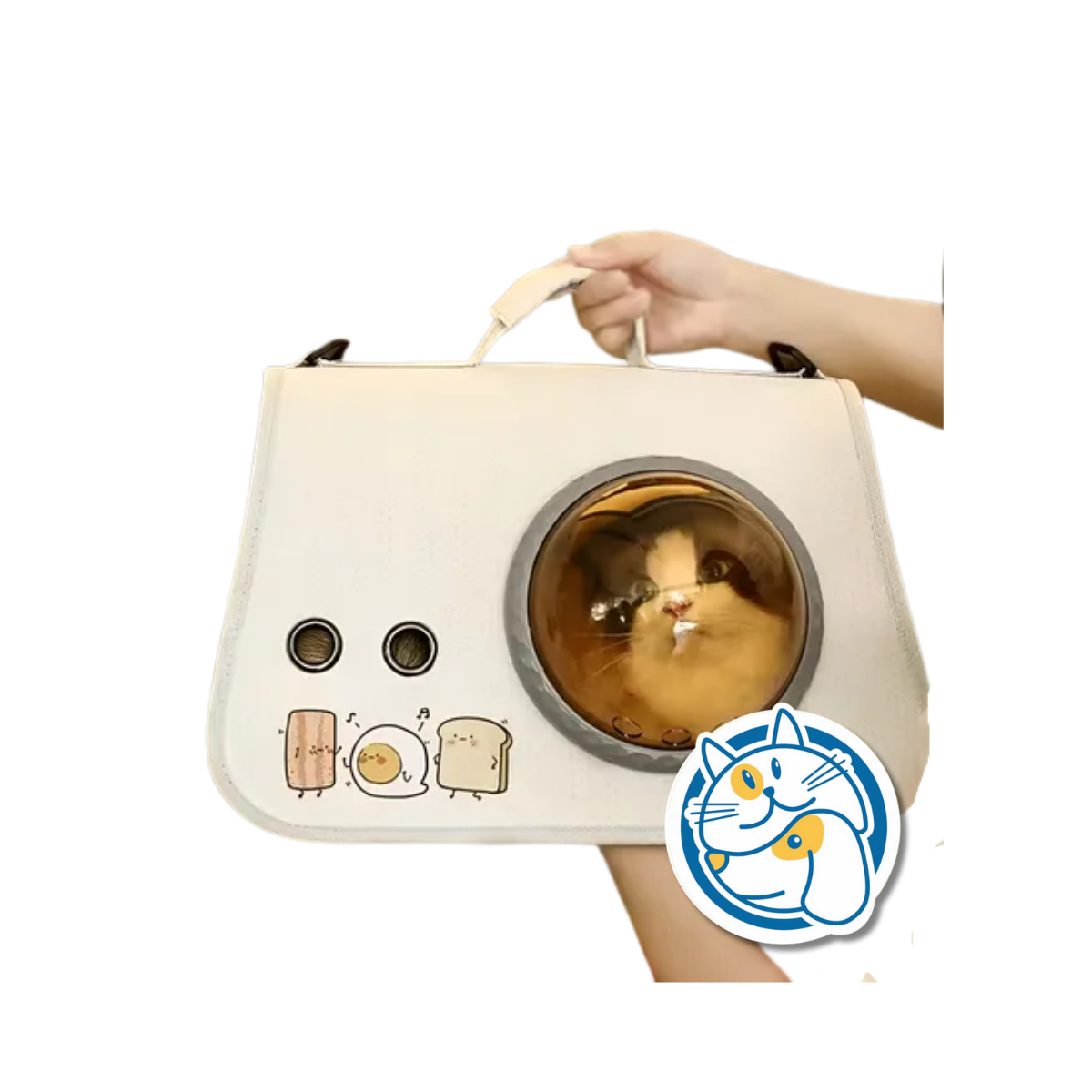 BOLSO TRANSPORTADOR C/VISOR 35X30X27CM M21 24479