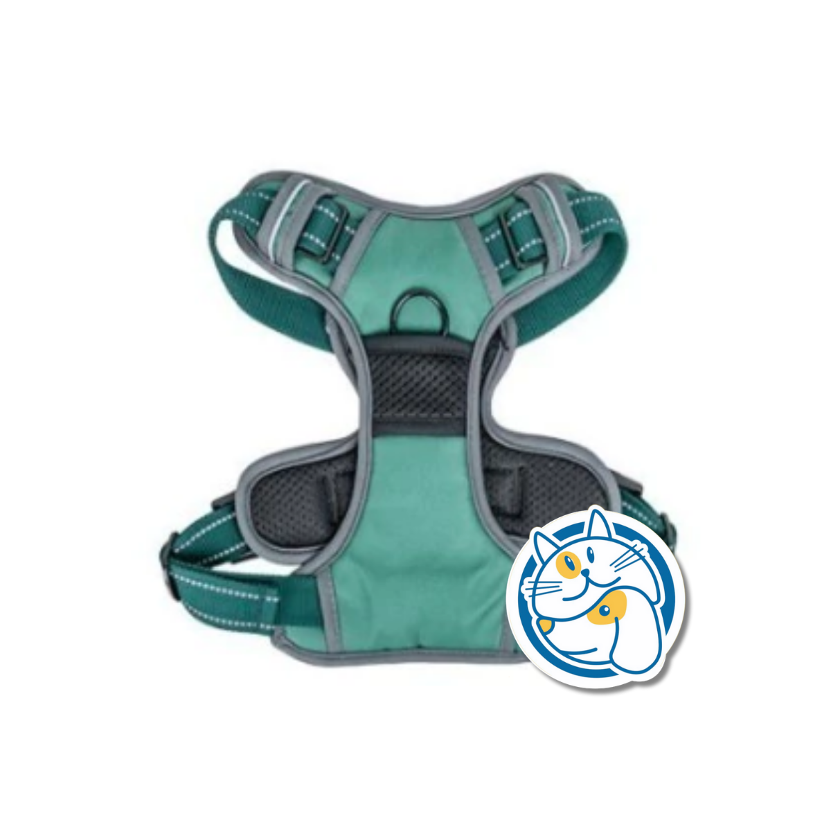 ARNES VERDE LARGE RN449 CANCAT