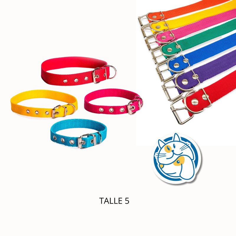 COLLAR POLIPROPILENO LISO T5 ARGENPET