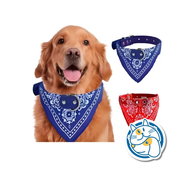 COLLAR DE CUERO BANDANA 2,5CM 25250