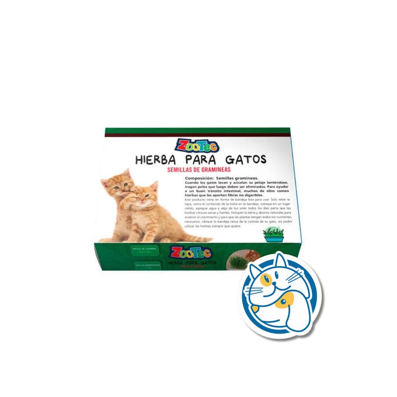 HIERBA GATO LISTO P/USAR BANDEJA ZOOTEC