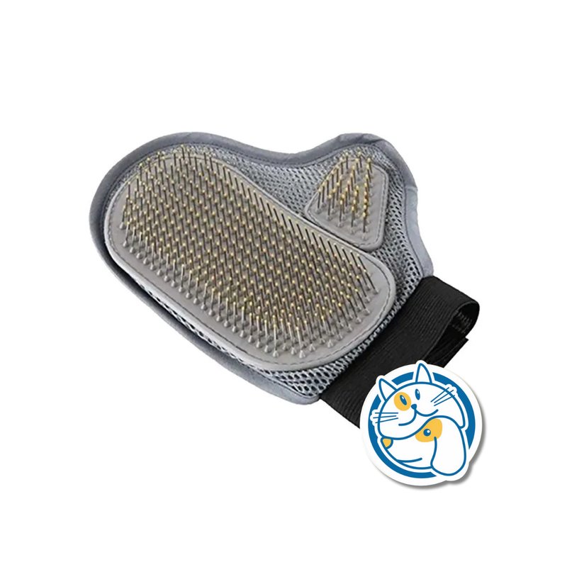 GUANTE MASAJEADOR Y DE LIMPIEZA QQQPB021