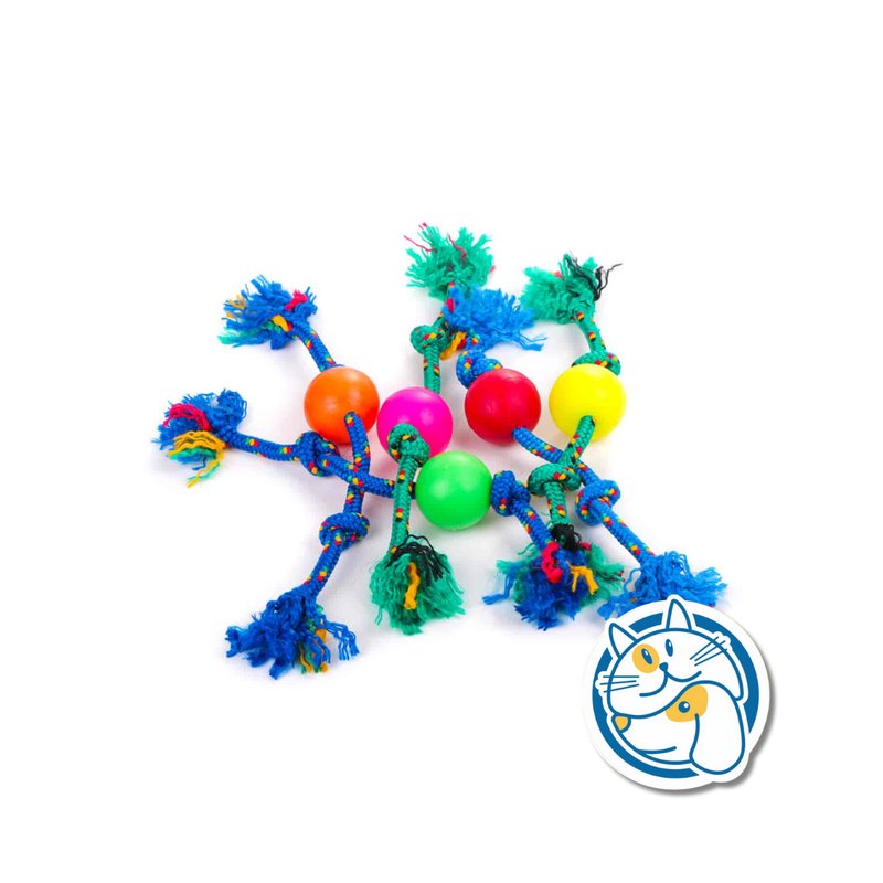 S902 - PELOTA DE GOMA MEDIANA CON SOGA ALPINA 12MM X LARGO 70 CM