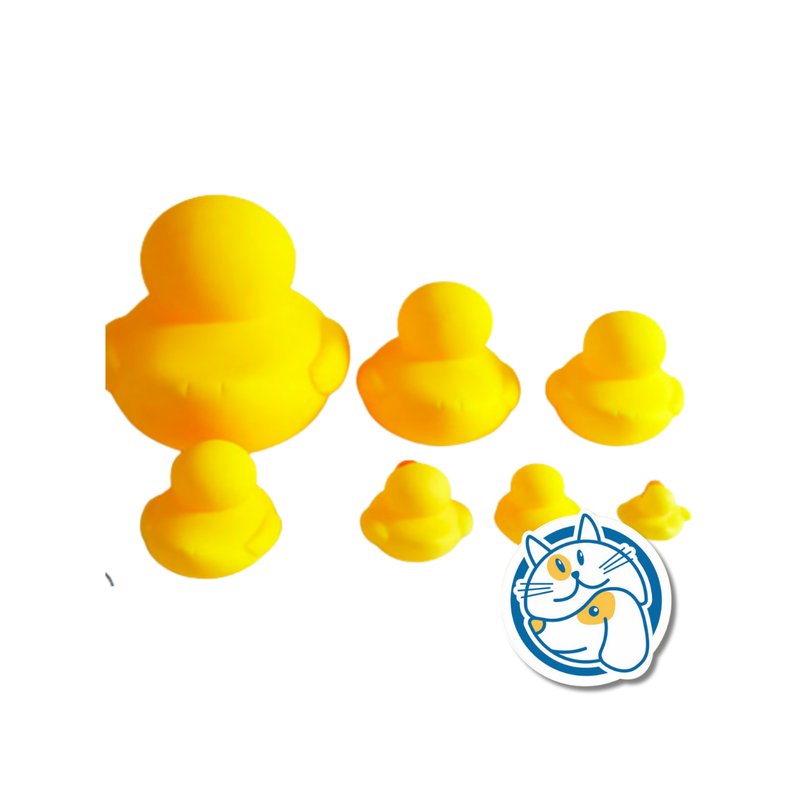 PATITOS C/CHIFLE 7,8X6,8X6CM 24849