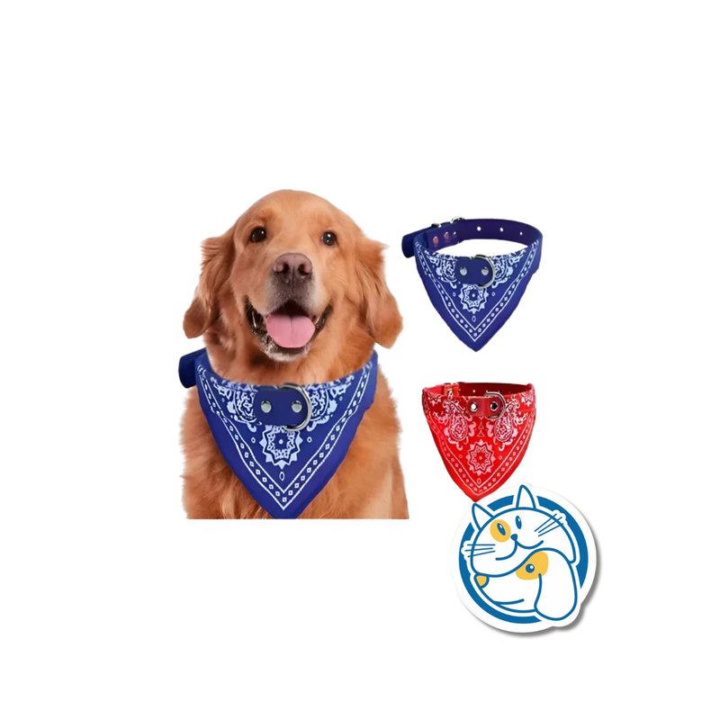 COLLAR CUERO C/BANDANA 1CM 25247